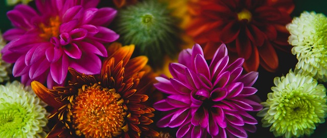 筠连县的救 筠连县的救