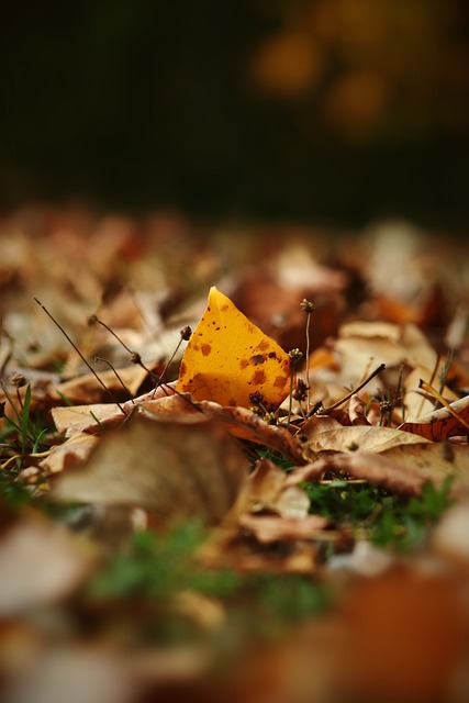四川省近日 四川省近日