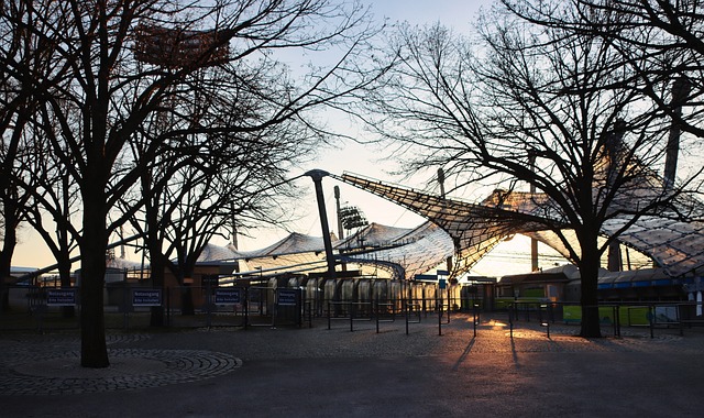 武磊长期效 武磊长期效