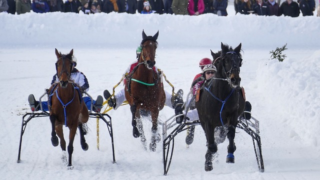 国际归来的 国际归来的
