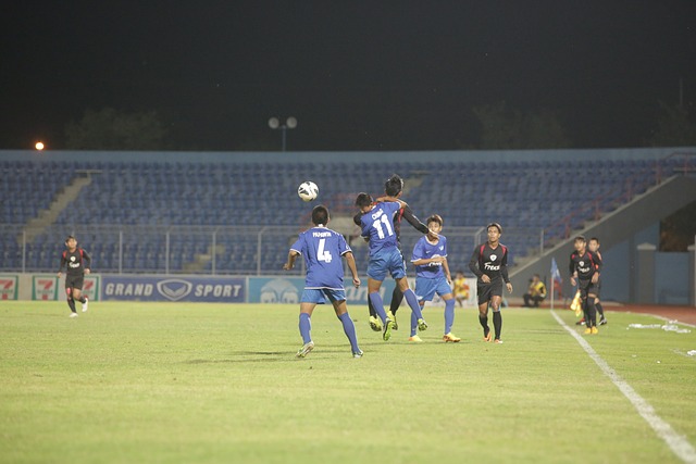 艺的展示 艺的展示