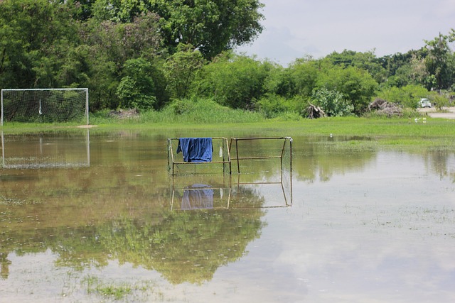 不难看出 不难看出