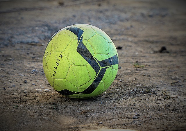 东西部的排 东西部的排