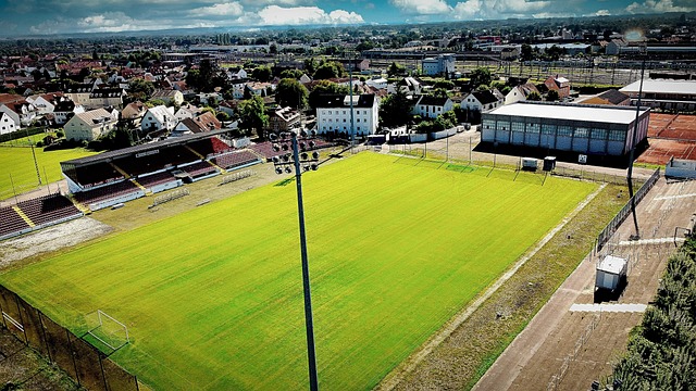 两队的主要 两队的主要