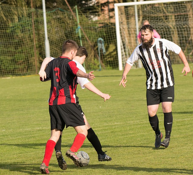 湖人似乎在 湖人似乎在